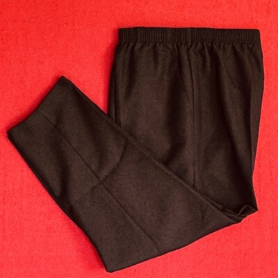 #ad BRIGGS ... Pull On Polyester Pants ... Brown ... Size 16 … EUC $17.98