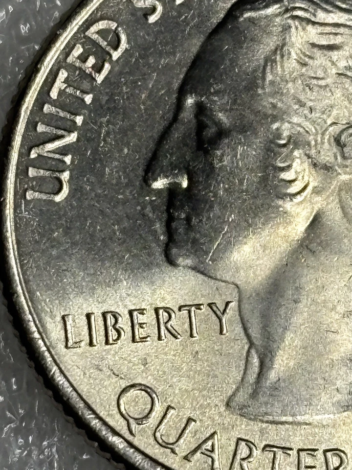 2015 Homestead Error Quarter Die Chips, Die Crack And Die Clash excellent Cond. - Image 3 of 4