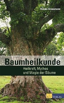 Baumheilkunde. Begegnungen und Erfahrungen mit den Heilk... | Buch | Zustand gut