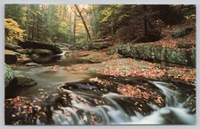 Tranquil Stream, French Theologian Quote on Back, Vintage Postcard