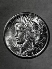 1925 S  PEACE DOLLAR   BEAUTIFUL BLAZER  CH BU $325 CLEARANCE $180