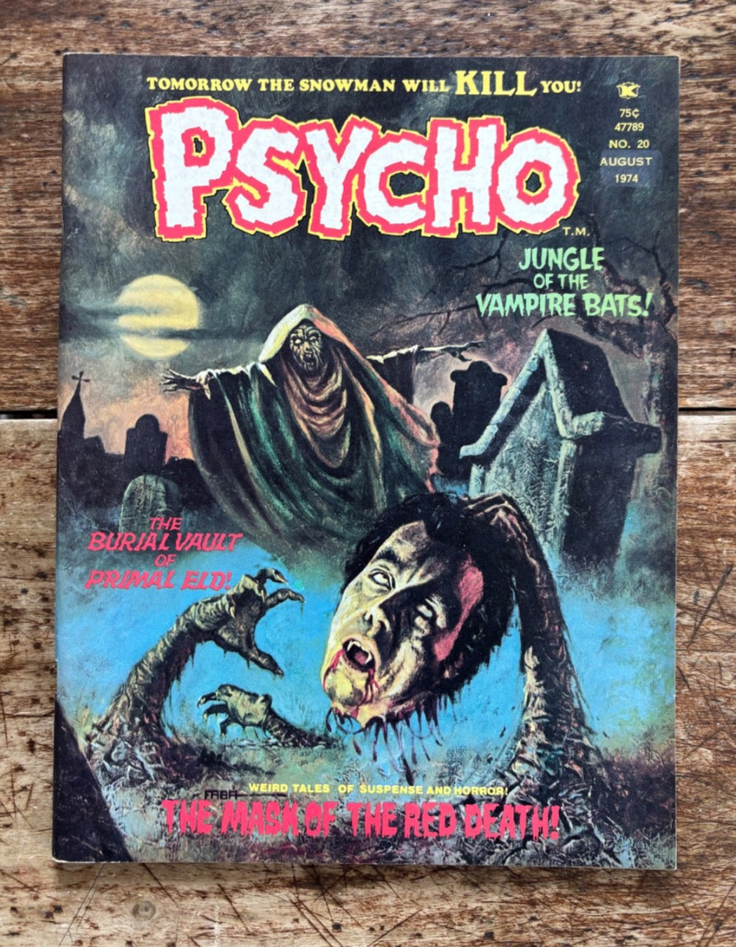 PSYCHO #20 Skywald 1974/Horror Comic/Decapitation Cover/Edgar Allan Poe  FN/VFN