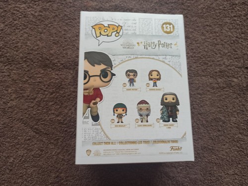 Funko Pop Harry Potter 2021 Summer Convention Limited Edition - Imagen 3 de 6