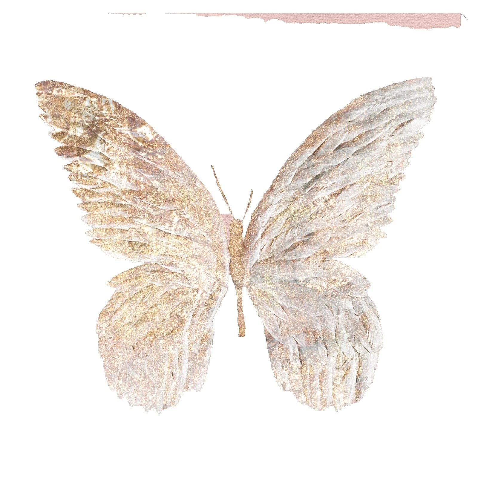 Mariposa De Lona afiches y grabados de decoración para el Hogar