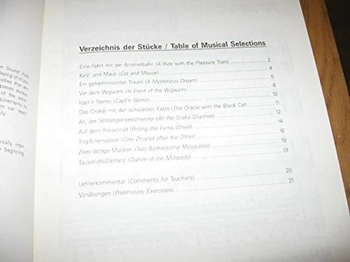 Liederbuch - Schulbuch  Geschichten aus dem Schalloch leichte Stücke 2 Gitarren - Bild 3 von 3