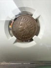 1901 Indian head penny 1899 1C NGC Environmental Damage VF Details