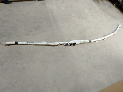 Driver Left Rear Roof Air Bag 68351559AD Fits 18-20 Caravan 2969898