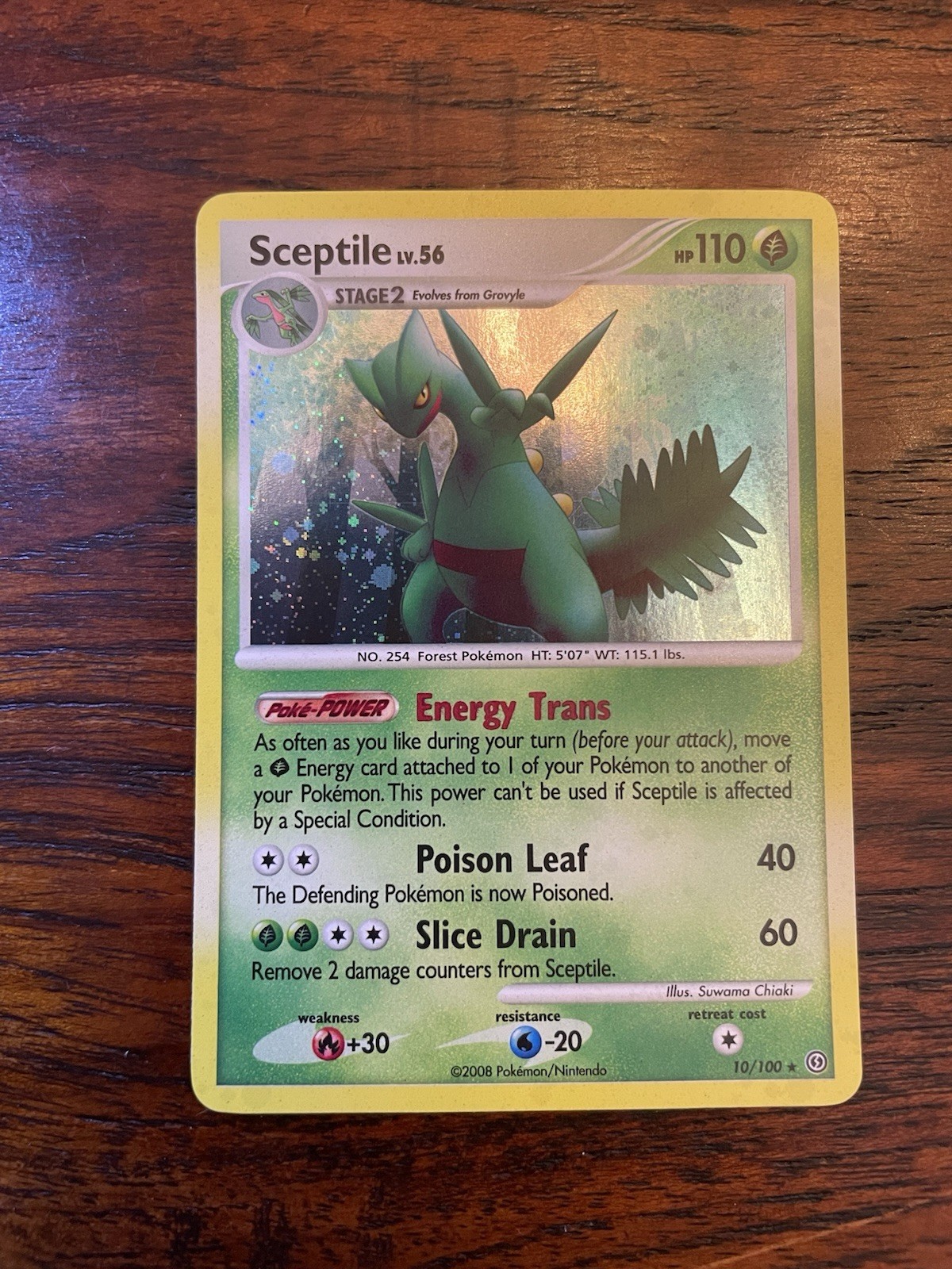 Sceptile 10/100 Holo Pokémon - Stormfront 2008 - Near Mint