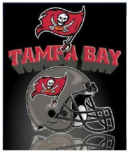 Plush Fleece Blanket *NFL Football* (AFC/NFC) Helmet Design *Select Your Team* - Picture 60 of 65