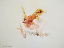 Orange Wren, Birds, Watercolor artwork, Handmade, Original painting on paper