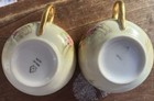 Vintage Hand-Painted Bohemian Porcelain Tea Cups with Gilt Trim — photo 3