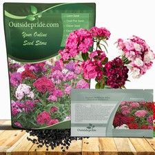 Sweet William Dianthus Seeds - 1 Lb. Perennial Wildflower for Pollinator Gardens 52.62 per gallon