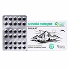 Mumijo Kyrgyzstan Tien Shan Humic Acids Mumijo 60 Tabl