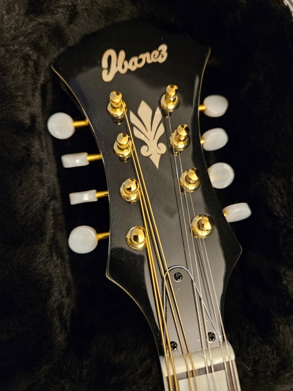 Ibanez F-Style Mandolin with Gator Case and Strap
