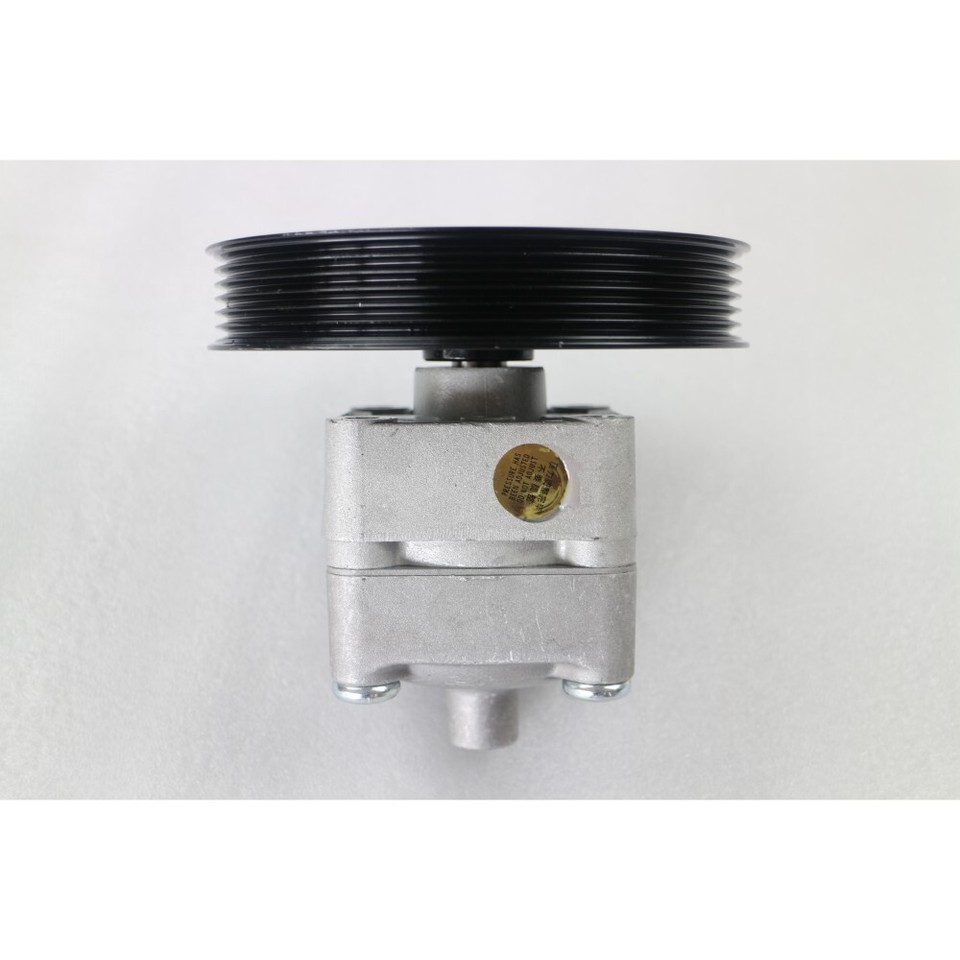 New Power Steering Pump Fit for Volvo S80 2.4 D XC90 D5 AWD 30665100