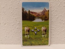 Candamir - The First Settlers: Path Map