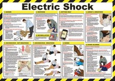 Beeswift Electric Shock Treatment Guide Poster (A2)