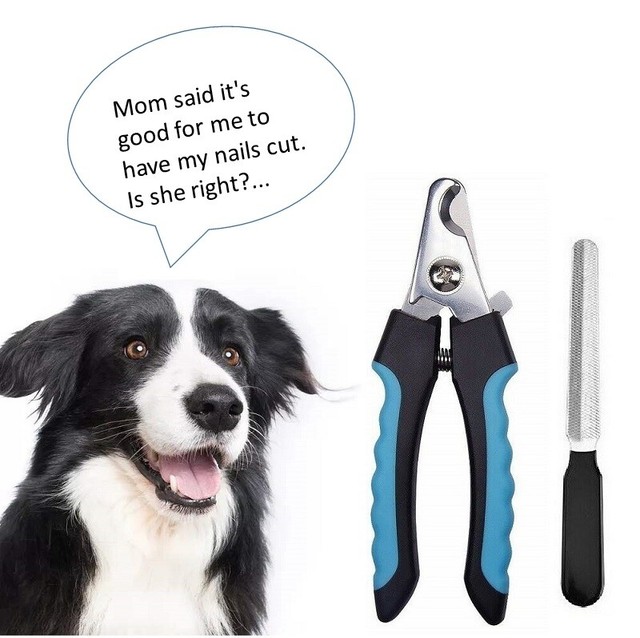 Dog Toe Nail Clippers for Medium Large Dog Professional Heavy Duty Grooming Tool eBay