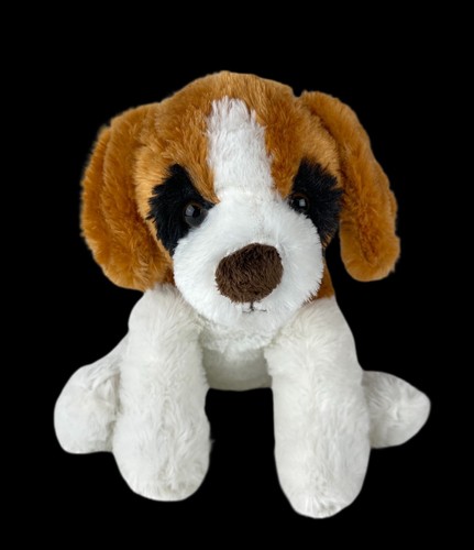 beagle teddy