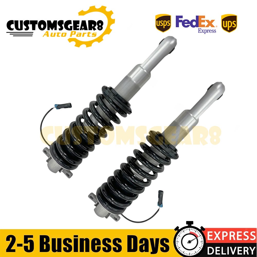 Ferrari F430 Scuderia Spider 16M 2005-2009 Rear Right Strut assemblies 2 pcs P/N 212543