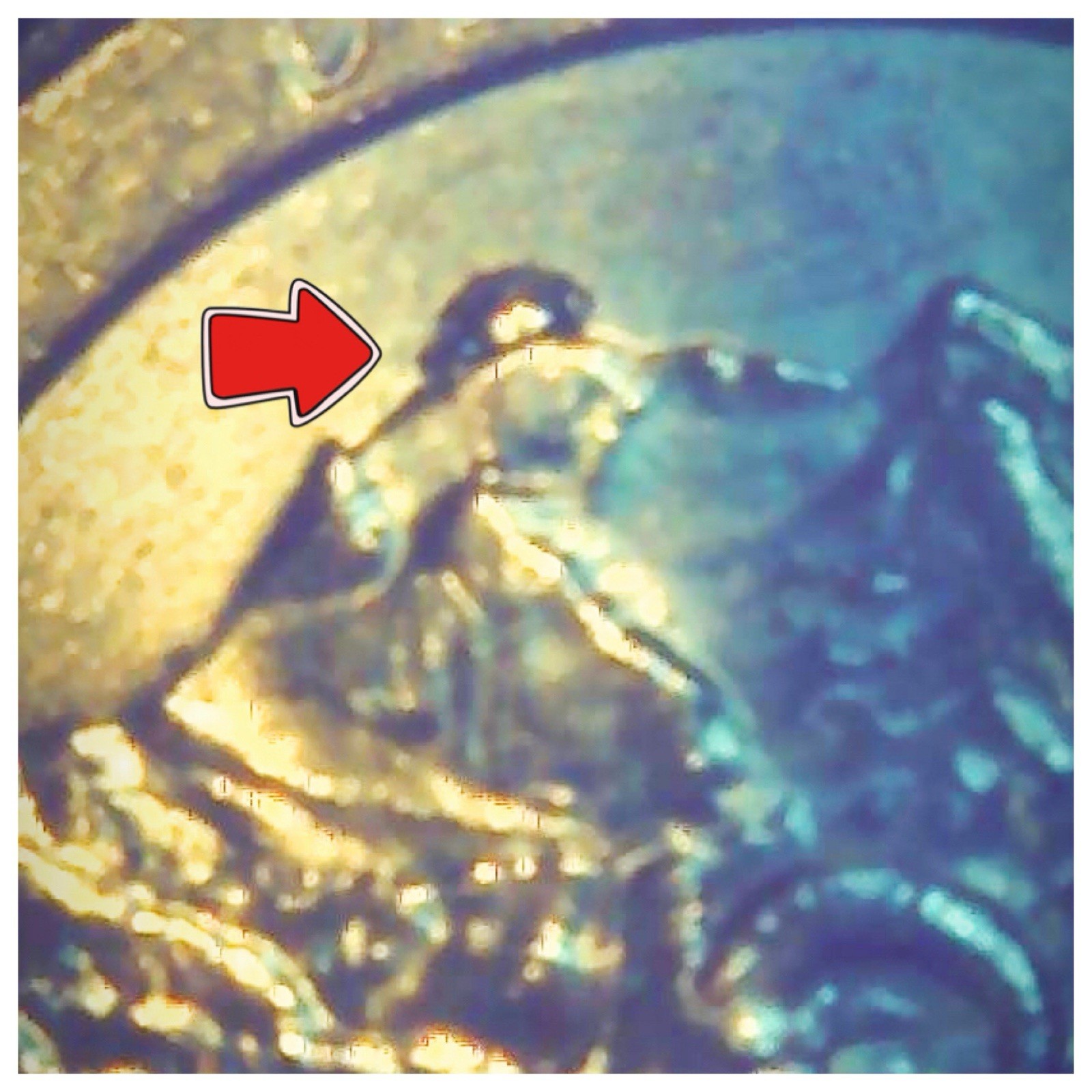 Picture 1 of 4