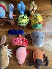 Giant Microbes Plush Lot By Drew Oliver 17 Total Learning Plush Science Body  — photo 3