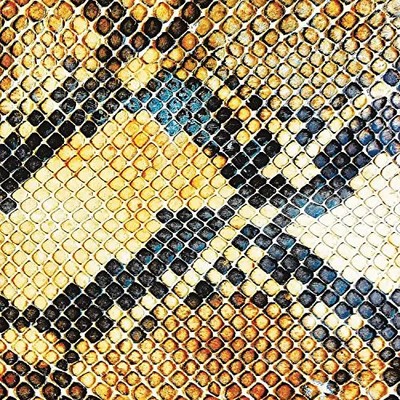 Amphetamin Balladen, Amazing Snakehea the