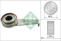 INA Multifr. Riemenscheibe Citroen 1.9