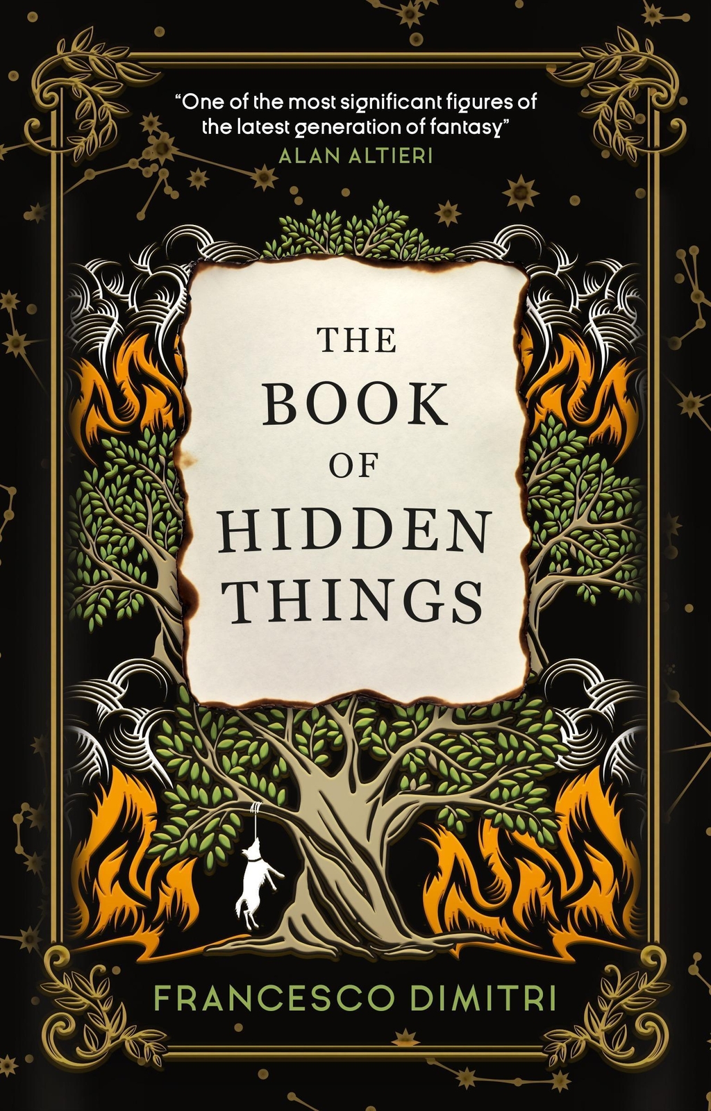 Thumbnail - The Book Of Hidden Things Francesco Dimitri