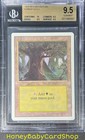 MTG 3rd Edition Revised 1994 Forest (C) BGS 9.5Q+ (TRUE QUAD+) GEM MINT 93/94