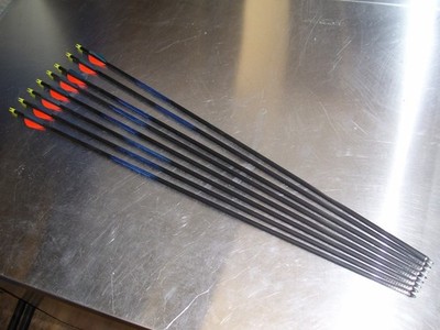 Carbon Express Pfeile Predator 800