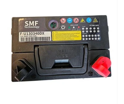 SMF TECHOLOGY BATTERIA SMF 12V 30 AH 340 A PER TAGLIAERBA TRATTORINI POLO POSITIVO DESTRA