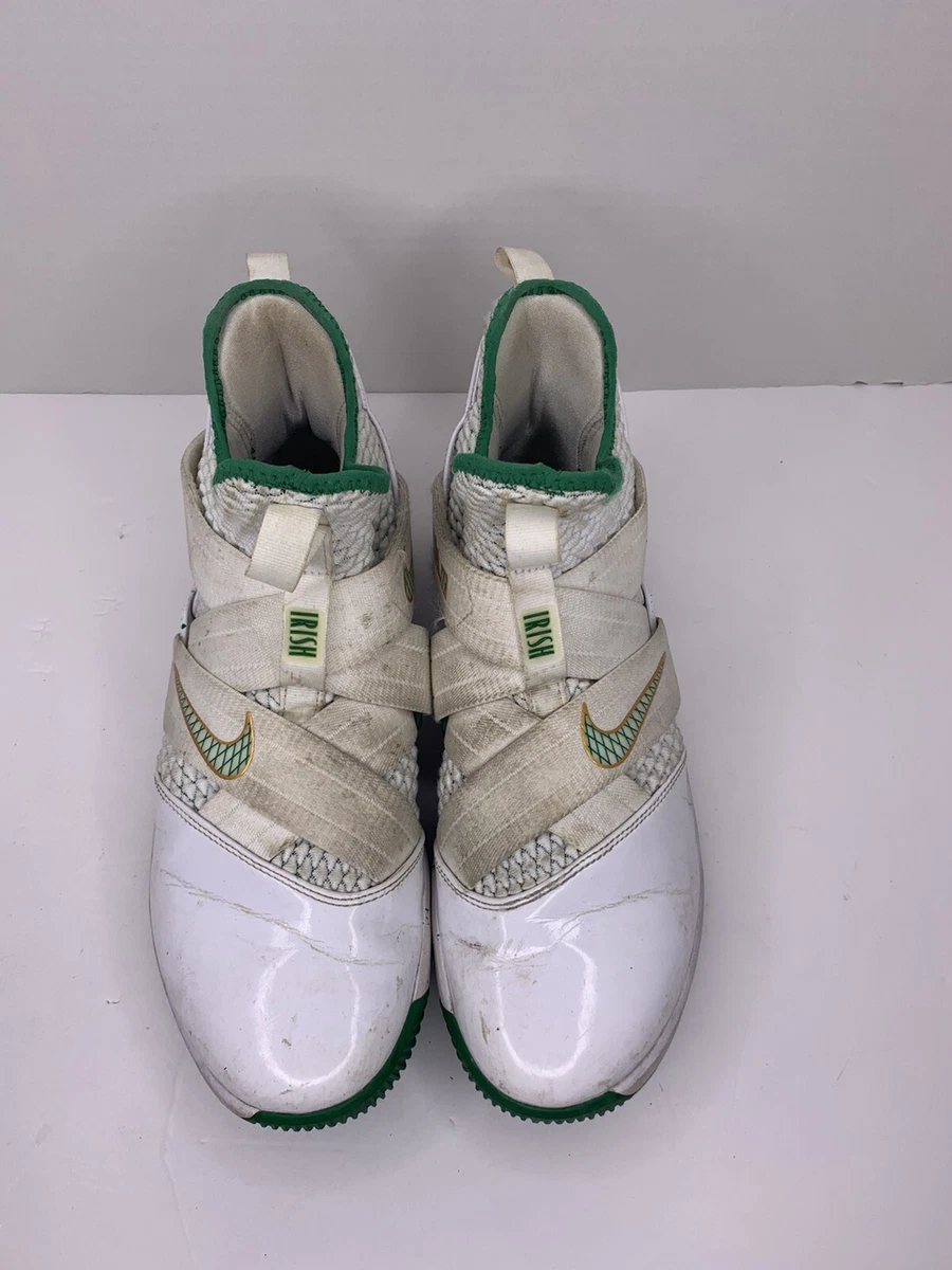 Lebron james irish shoes top