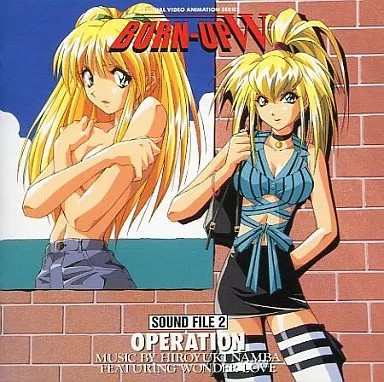 Burn-Up W Anime CD File2 Sound Collection Collection