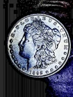 1892 P Morgan Dollar a naturally toned  clearance start $120