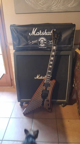 2010s Gibson Zakk Wylde Modern of Doom - 2014 Striped - Signed