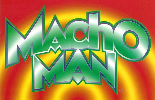Macho Man Randy Savage Logo #46 card from 1998 Panini WCW/nWo Photocards