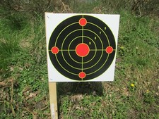 25 x large Splatter shot Target 12" Shoot rifle pistol air targets N C 12