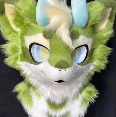 Fursuit Long haired Dog Fox Mascot Party Halloween Fur Cosplay(head)