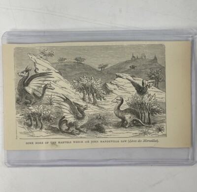 Sir John Mandeville Marvels 1800's Double Headed Geese Cryptid 6'' Antique Print