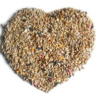 Welldales Complete Wild Bird Mixture All Season Seed Sunflower Hearts Calciworms