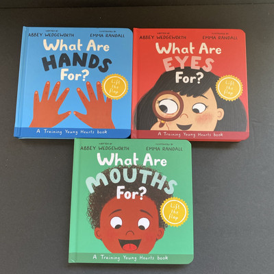 What Are Hands Mouth Eyes For Abbey Wedgeworth 3 Board Books Lift Flap