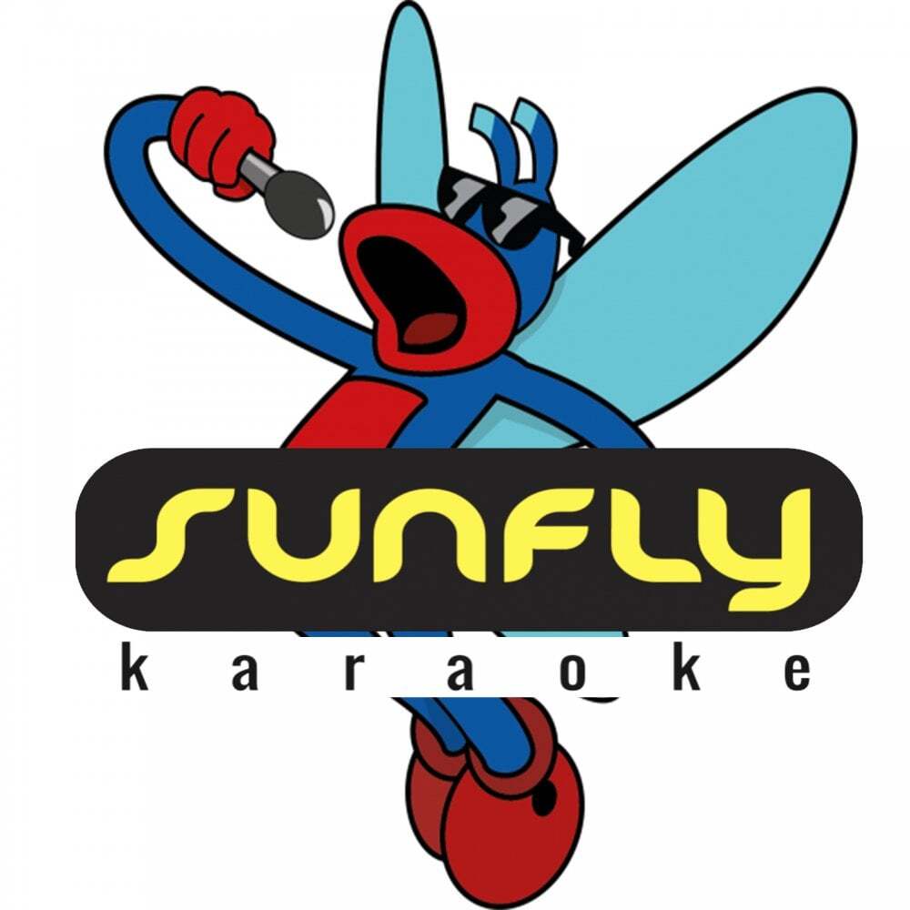 Sunfly Karaoke CDG CD Most Wanted Volume 861 CD+G Disc 15 Singing