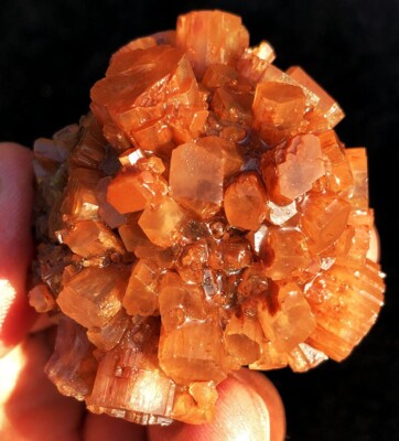 110.0g WOW! Natural Orange Flowery Aragonite Crystal Cluster Specimen ie4909