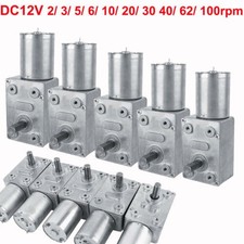 Reversible High Torque Worm Geared Motor DC 12V Reduction Motor 2RPM-100RPM