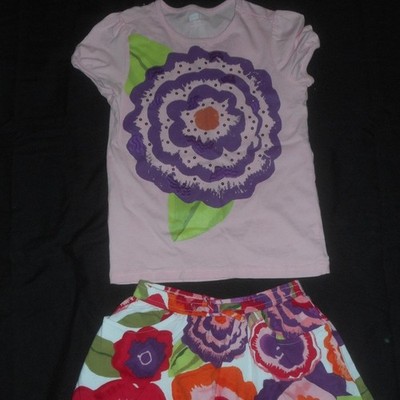 Crazy 8 Pink Floral Skirt Outfit 7-8 USED