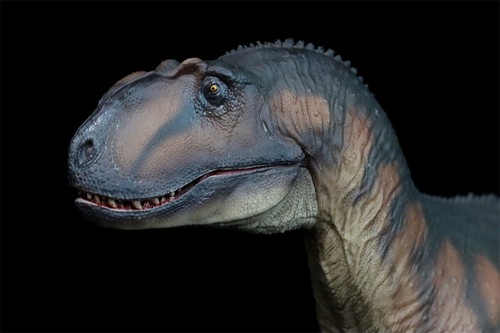 PNSO Yangchuanosaurus Magnus 76 Dinosaur Model Collections Figure Gift Toys - Picture 14 of 24