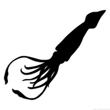 Squid - Decal Sticker - Multiple Colors  Sizes - ebn7047