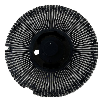 Rarotype Compatible Canon Prestige Elite 12 Printwheel