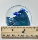 Picture 6 of 6